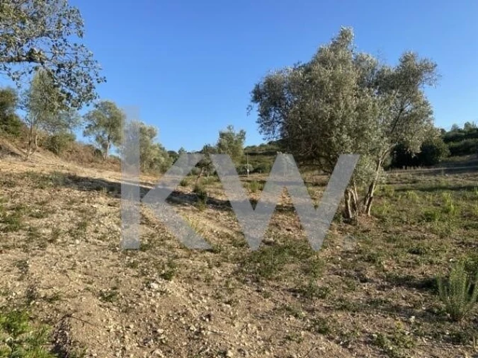 Terreno para Venda em Azoia de Cima e Tremês Foto 16