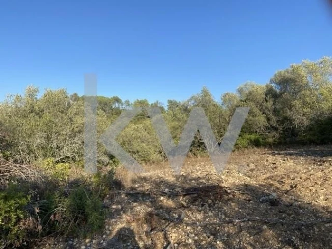 Terreno para Venda em Azoia de Cima e Tremês Foto 18