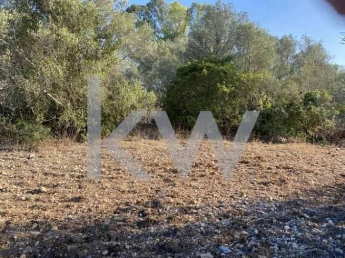 Terreno para Venda em Azoia de Cima e Tremês Foto 19