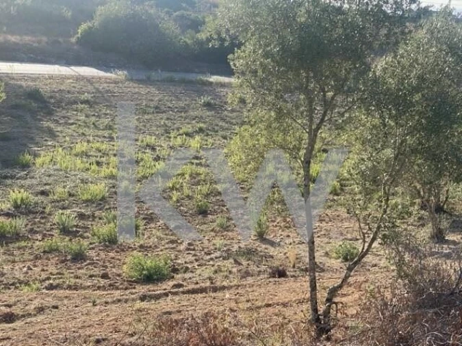 Terreno para Venda em Azoia de Cima e Tremês Foto 22