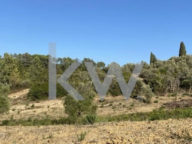 Terreno para Venda em Azoia de Cima e Tremês Foto 25