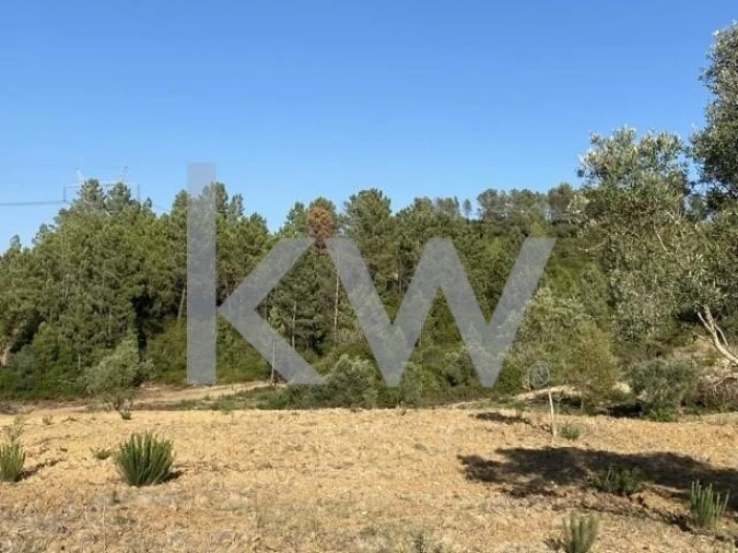 Terreno para Venda em Azoia de Cima e Tremês Foto 26