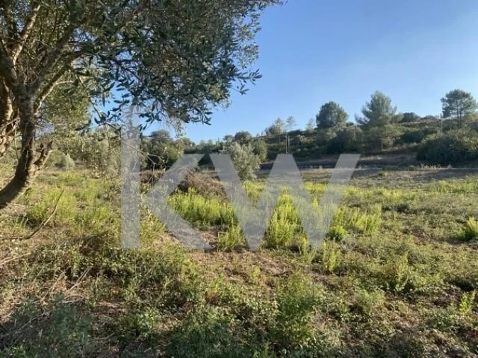 Terreno para Venda em Azoia de Cima e Tremês Foto 33