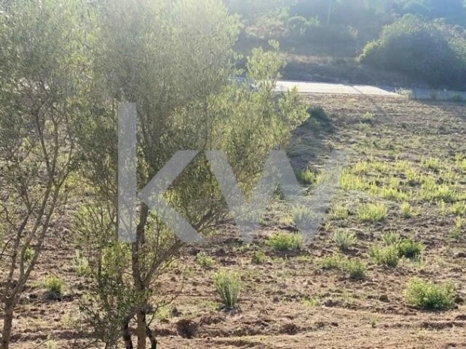 Terreno para Venda em Azoia de Cima e Tremês Foto 34