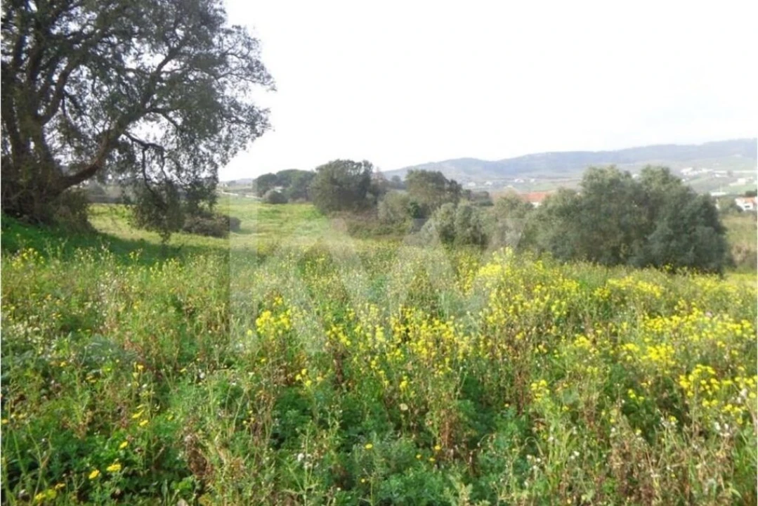 Terreno para Venda em Arruda dos Vinhos Foto 3