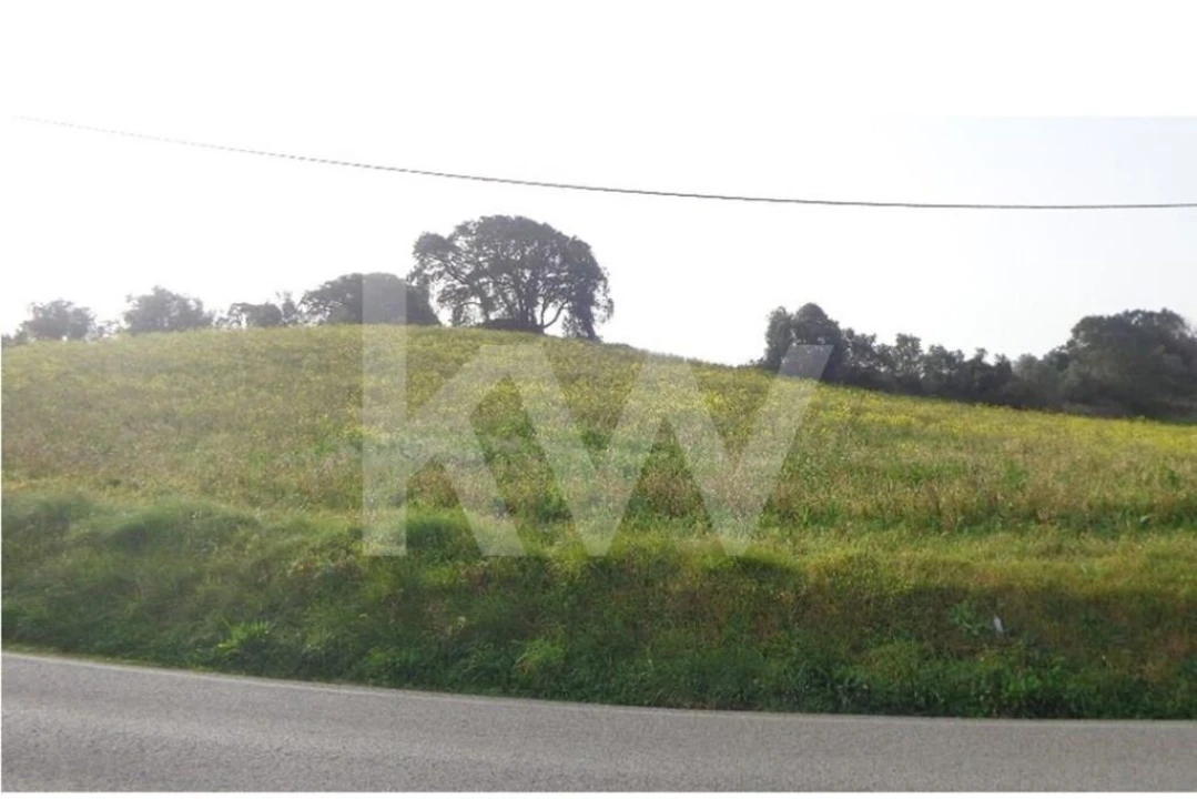 Terreno para Venda em Arruda dos Vinhos Foto 8