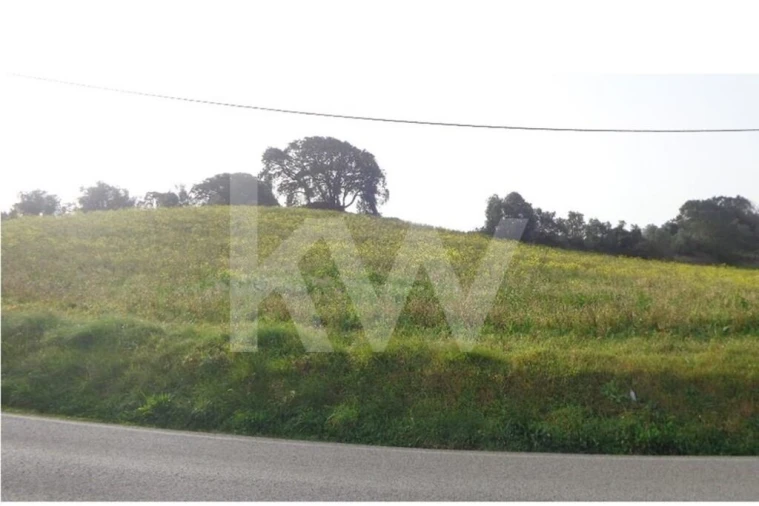 Terreno para Venda em Arruda dos Vinhos Foto 8