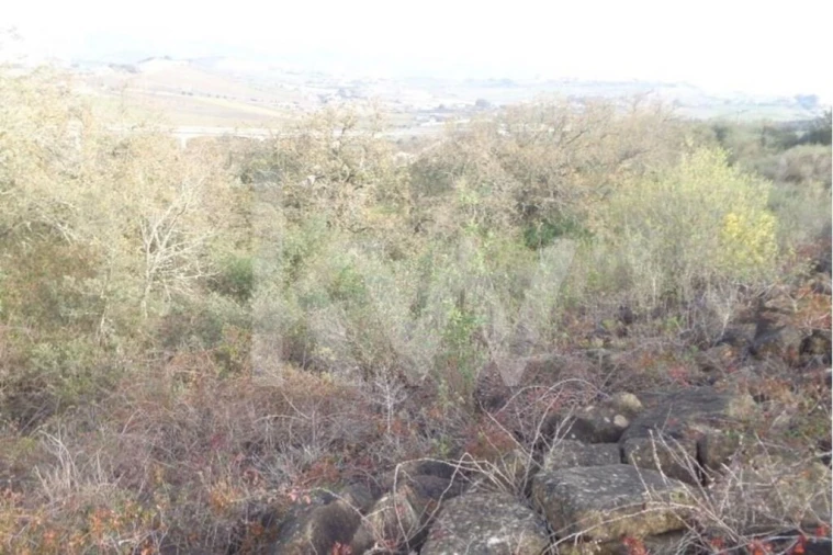 Terreno para Venda em Arruda dos Vinhos Foto 13