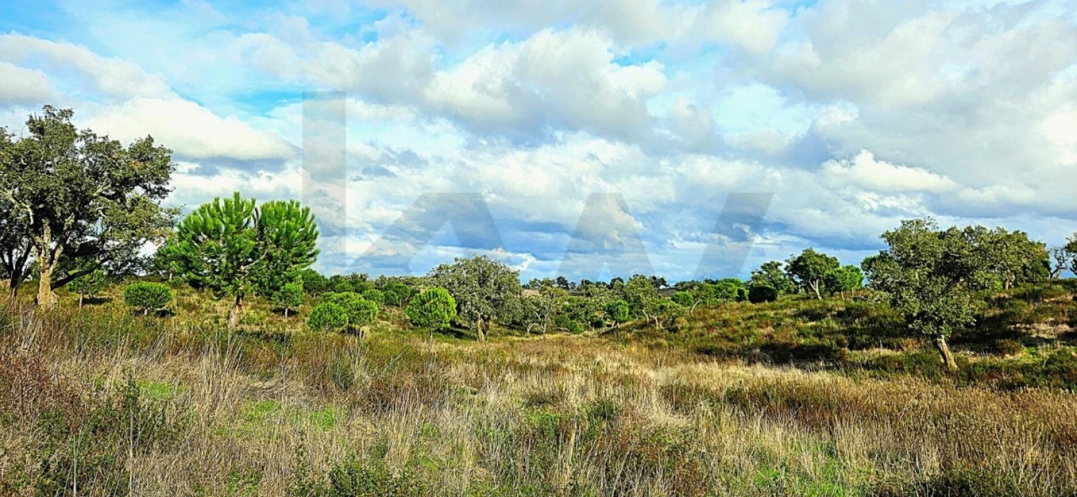 Terreno para Venda em Grândola e Santa Margarida da Serra Foto 2
