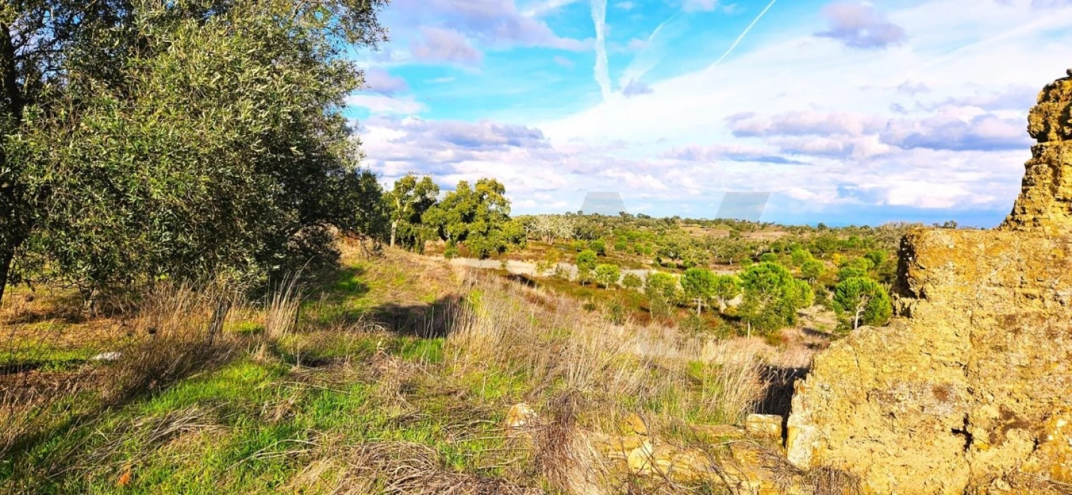 Terreno para Venda em Grândola e Santa Margarida da Serra Foto 21