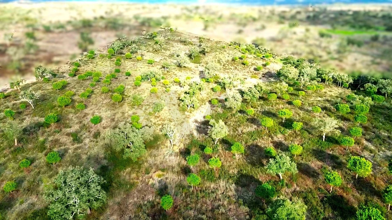 Terreno para Venda em Grândola e Santa Margarida da Serra Foto 24