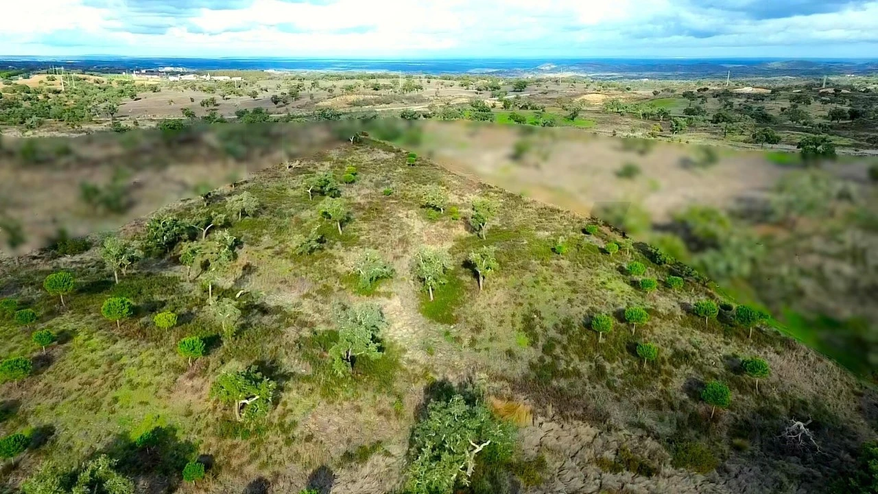 Terreno para Venda em Grândola e Santa Margarida da Serra Foto 26