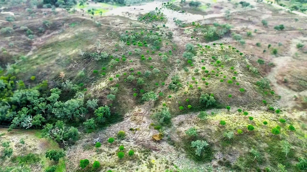 Terreno para Venda em Grândola e Santa Margarida da Serra Foto 29