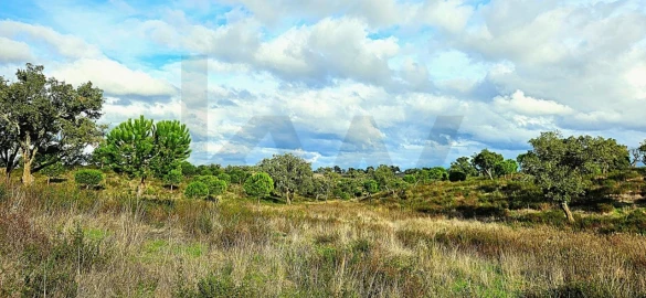 Terreno para Venda em Grândola e Santa Margarida da Serra