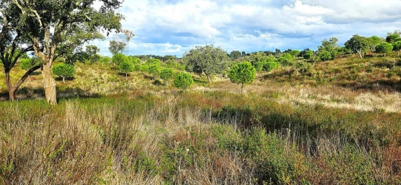Terreno para Venda em Grândola e Santa Margarida da Serra
