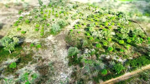 Terreno para Venda em Grândola e Santa Margarida da Serra