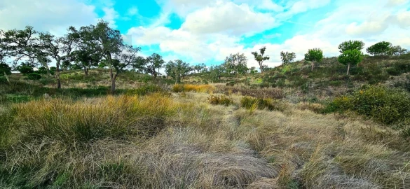 Terreno para Venda em Grândola e Santa Margarida da Serra