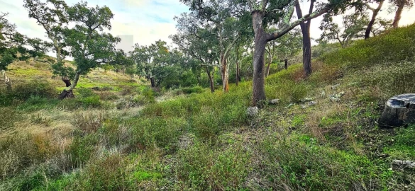 Terreno para Venda em Grândola e Santa Margarida da Serra