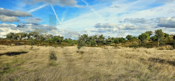 Terreno para Venda em Grândola e Santa Margarida da Serra