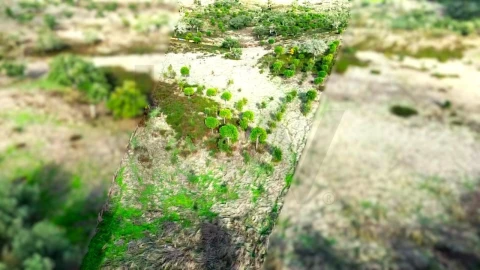 Terreno para Venda em Grândola e Santa Margarida da Serra
