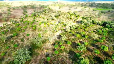 Terreno para Venda em Grândola e Santa Margarida da Serra