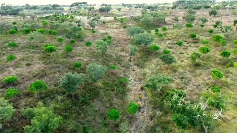 Terreno para Venda em Grândola e Santa Margarida da Serra