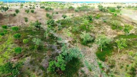 Terreno para Venda em Grândola e Santa Margarida da Serra