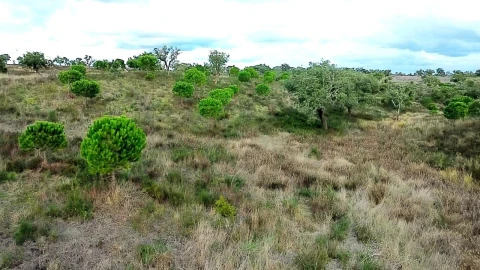Terreno para Venda em Grândola e Santa Margarida da Serra