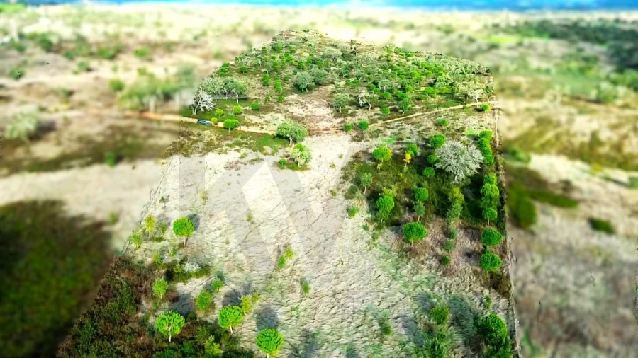 Terreno para Venda em Grândola e Santa Margarida da Serra Foto 6
