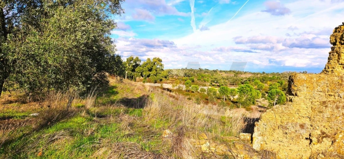 Terreno para Venda em Grândola e Santa Margarida da Serra Foto 21