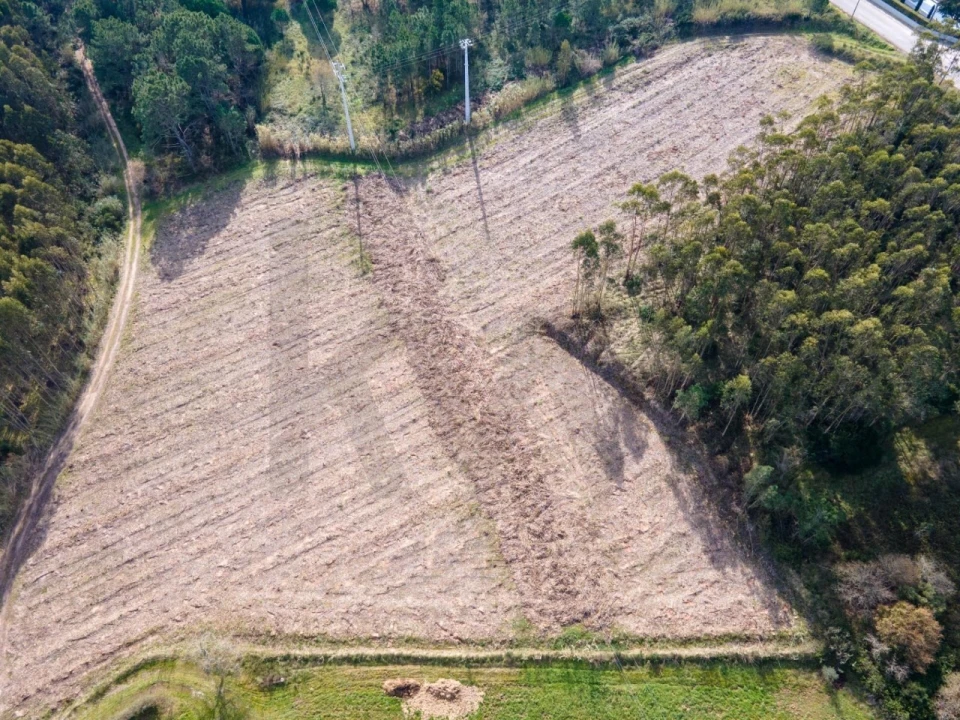 Terreno para Venda em Foz do Arelho Foto 3