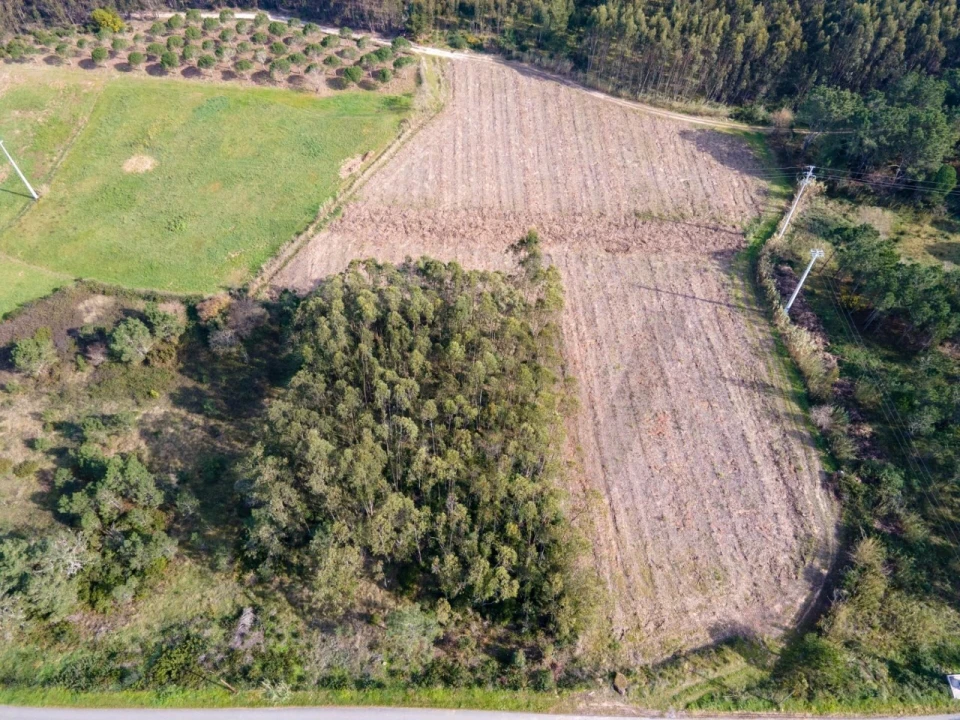 Terreno para Venda em Foz do Arelho Foto 4