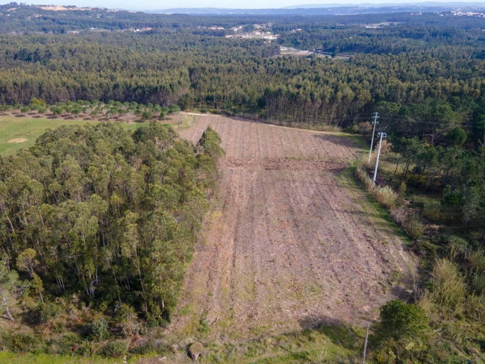 Terreno para Venda em Foz do Arelho Foto 5