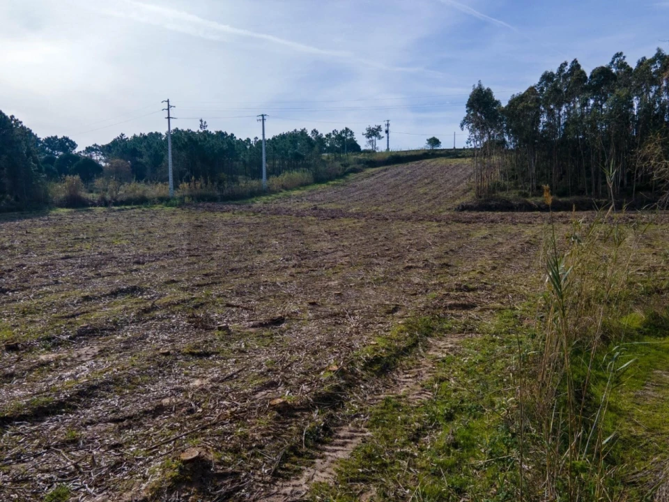 Terreno para Venda em Foz do Arelho Foto 10