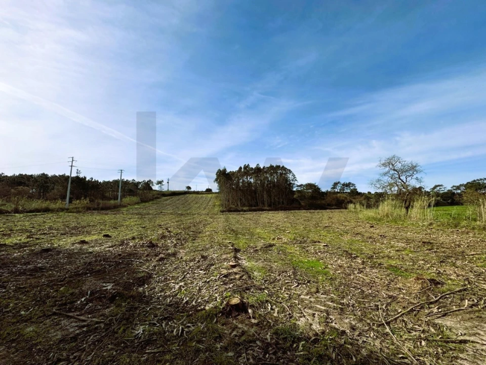 Terreno para Venda em Foz do Arelho Foto 12