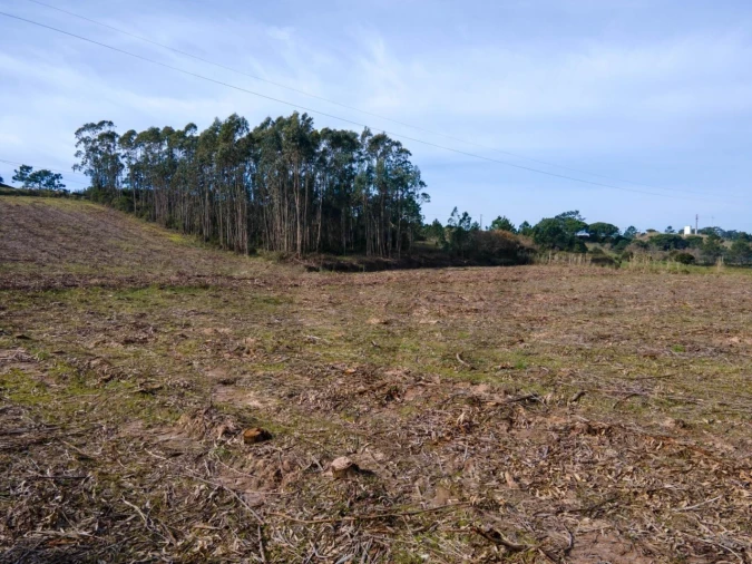 Terreno para Venda em Foz do Arelho Foto 7