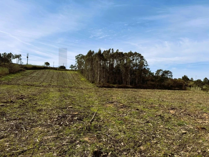 Terreno para Venda em Foz do Arelho Foto 13