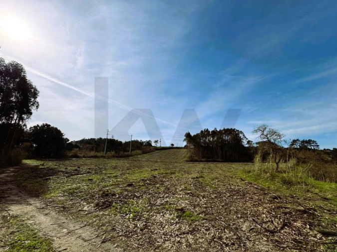 Terreno para Venda em Foz do Arelho Foto 11