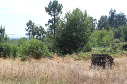 Terreno para Venda em Carvalhais e Candal