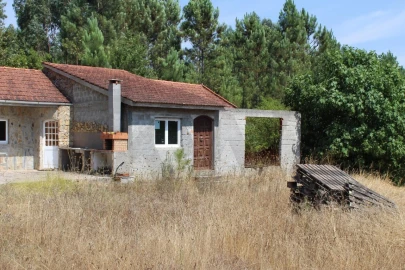 Terreno para Venda em Carvalhais e Candal