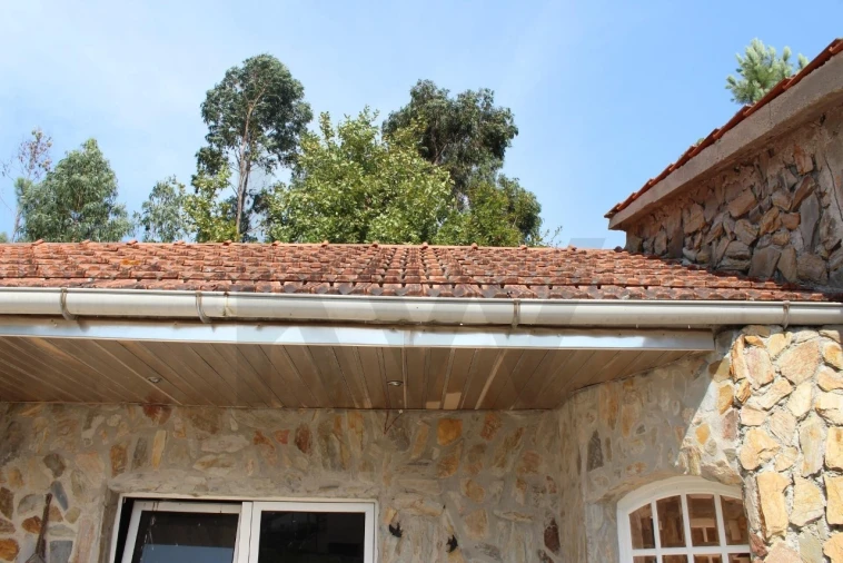 Terreno para Venda em Carvalhais e Candal Foto 10