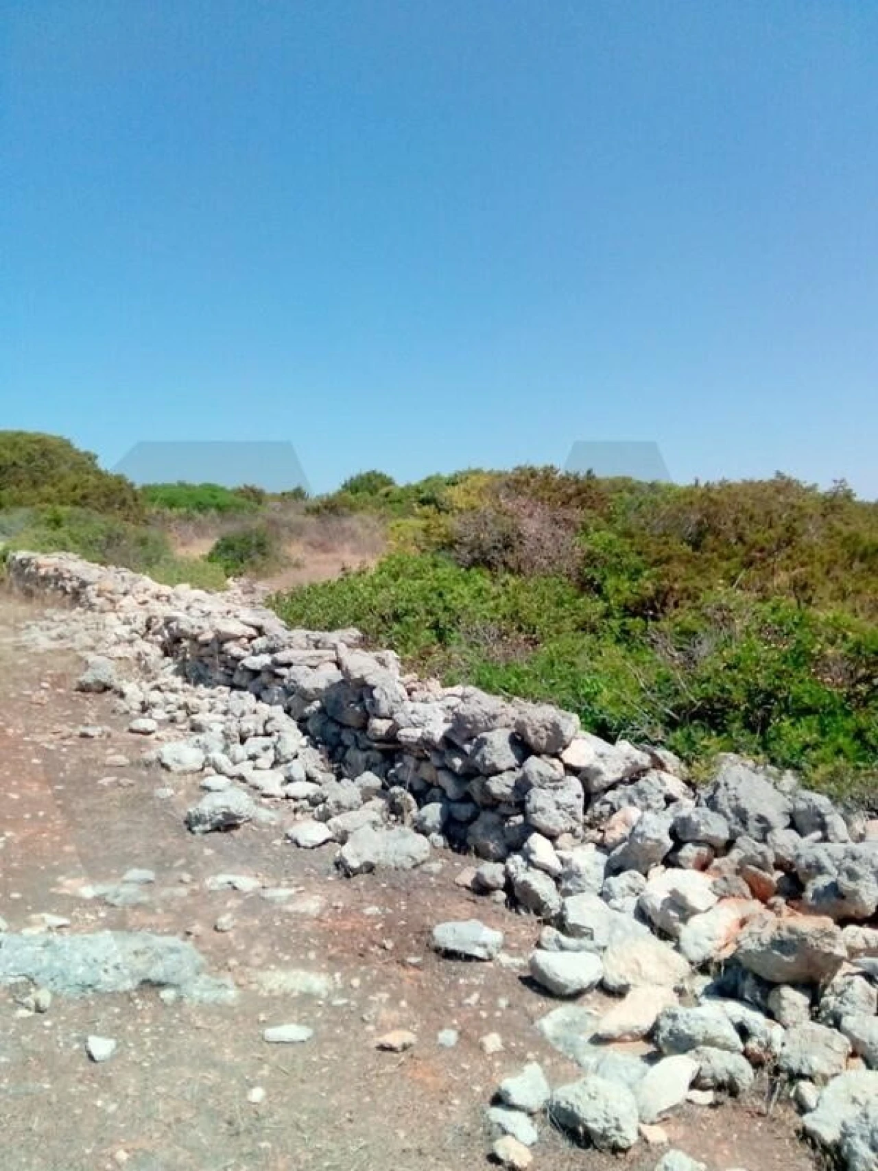 Terreno para Venda em Porches Foto 5