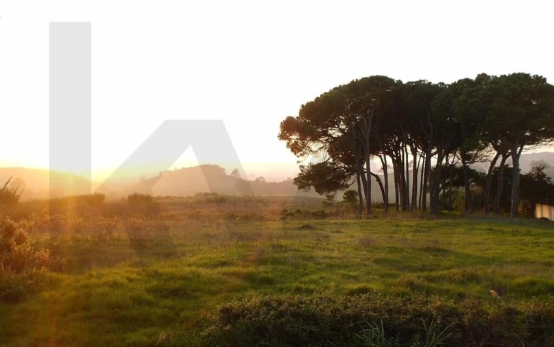 Terreno para Venda em Santa Maria, São Pedro e Sobral da Lagoa Foto 11