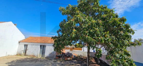 Terreno para Venda em Grândola e Santa Margarida da Serra