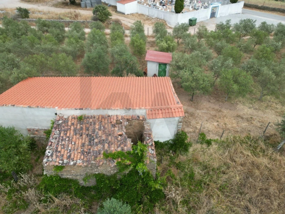 Terreno para Venda em Montalvão Foto 17