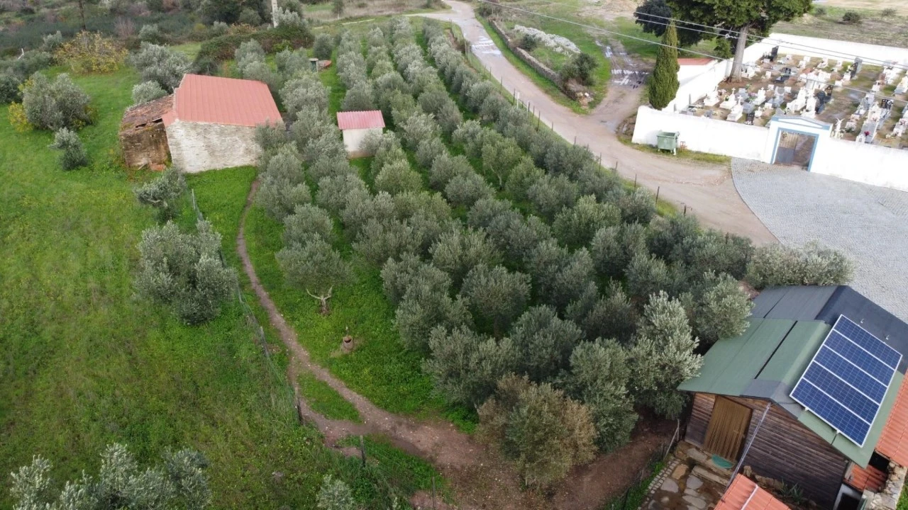 Terreno para Venda em Montalvão Foto 31