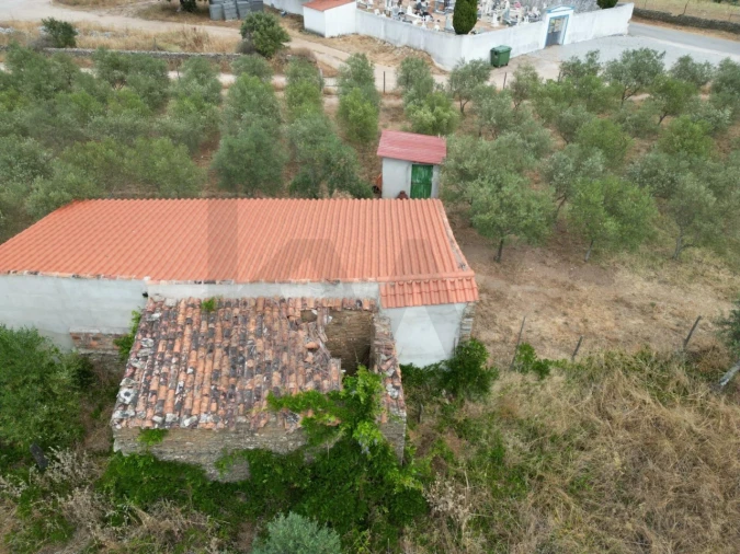 Terreno para Venda em Montalvão Foto 17