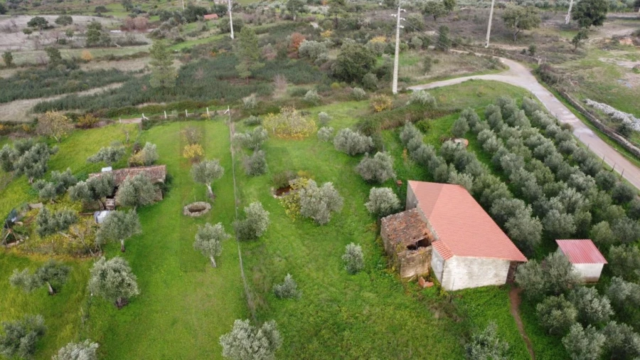 Terreno para Venda em Montalvão Foto 27