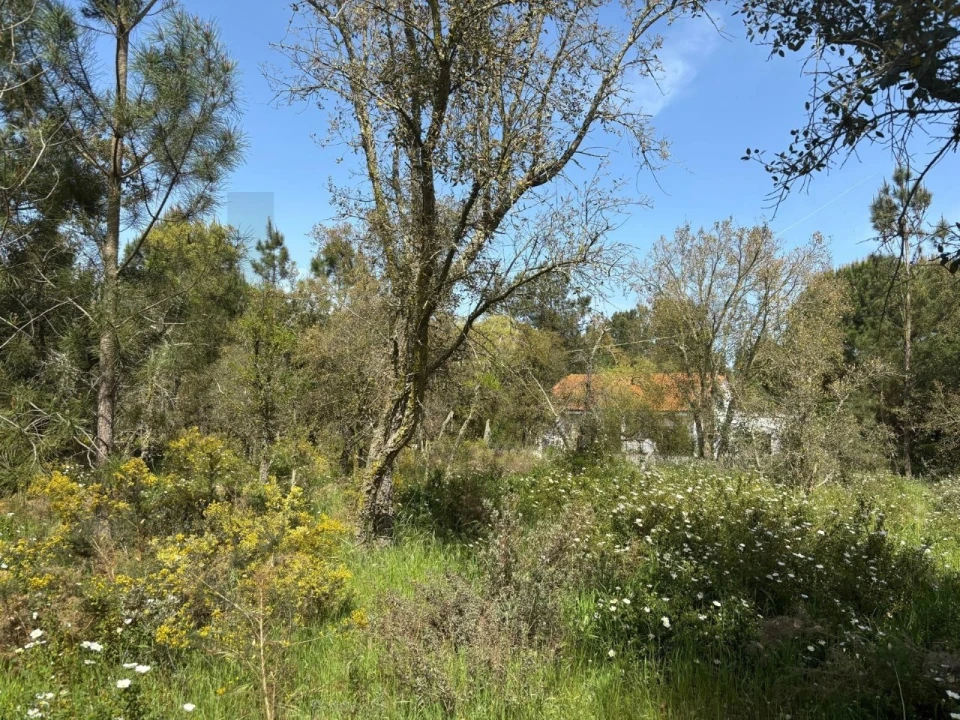 Terreno para Venda em Salvaterra de Magos e Foros de Salvaterra Foto 11