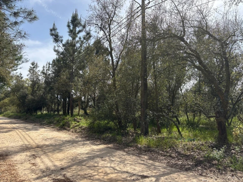 Terreno para Venda em Salvaterra de Magos e Foros de Salvaterra Foto 16